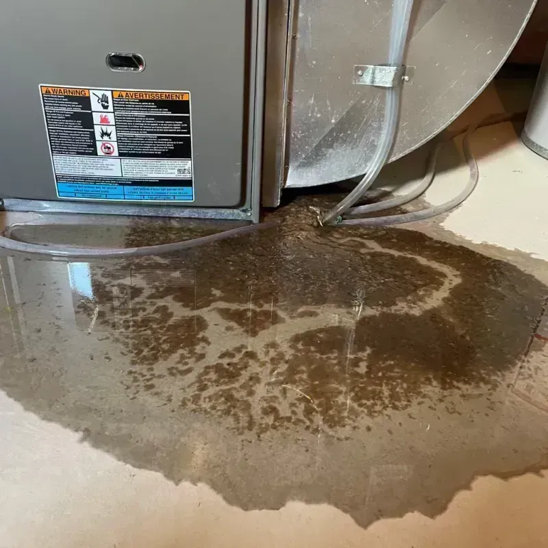 Appliance Leak Cleanup in Lone Tree, CO